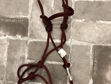 HAN Foal Tied Halter, Assorted For Cheap