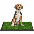 Utility Puppy Pet Potty Train Pee Dog Grass Pad Online Hot Sale