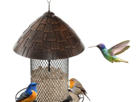 Squirrel-proof Metal Wild Bird Feeder with Perch and Drain Holes Online Hot Sale