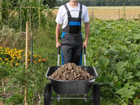 2 Tire Wheelbarrow Garden Cart Heavy-duty Dolly Utility Cart-Black Online Sale