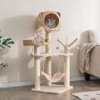 Multi-Level Cat Tree with Condo Hammock and Rotatable Hanging Balls-Natural Online now