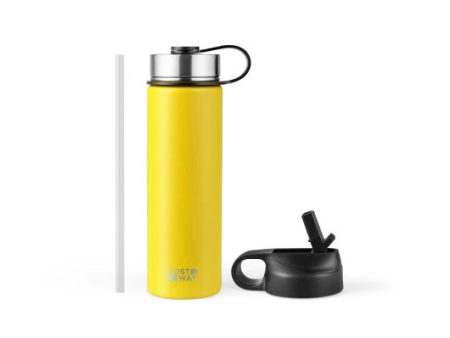 22 Oz Double-walled Insulated Stainless Steel Water Bottle with 2 Lids and Straw-Yellow on Sale