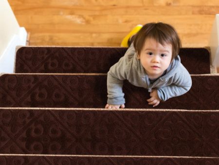 15Pcs Indoor Non-Slip Stair Carpet Mats for Wooden Steps-Brown Sale