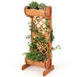 2-Tier Wooden Raised Garden Bed with Trellis-Orange Supply