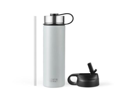 22 Oz Double-walled Insulated Stainless Steel Water Bottle with 2 Lids and Straw-Gray Fashion