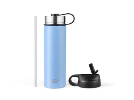 22 Oz Double-walled Insulated Stainless Steel Water Bottle with 2 Lids and Straw-Blue For Discount