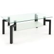 2-Tier Rectangular Glass Coffee Table with Metal Tube Legs-Black Sale