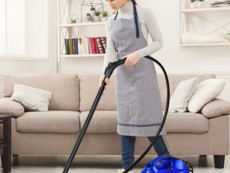 2000W Heavy Duty Multi-purpose Steam Cleaner Mop with Detachable Handheld Unit-Blue Online now