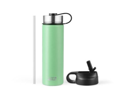 22 Oz Double-walled Insulated Stainless Steel Water Bottle with 2 Lids and Straw-Green Sale